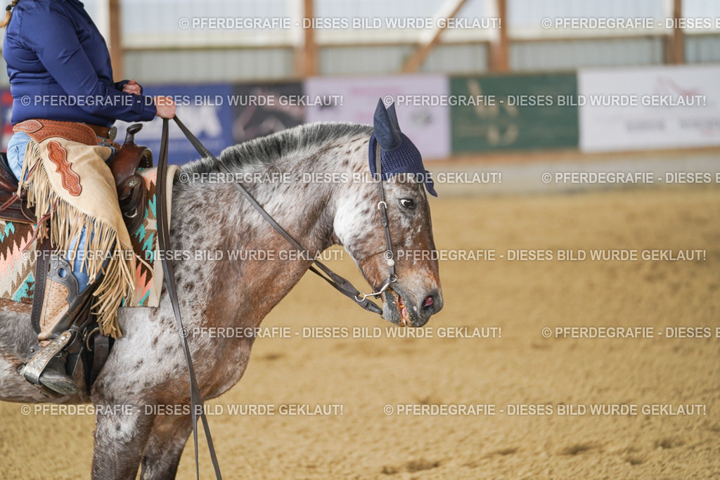 DSC02995 | Pferdegrafie