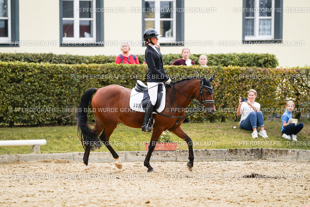 DSC00877 | Pferdegrafie