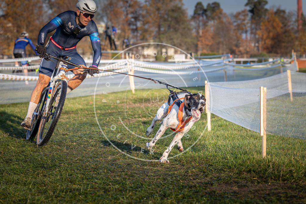 CaniXpix_0L8A3688 | Hundefotografie, Tierfotograf, Pfotenfotografie, Fotoshooting Hund, Hunde Portrait, Hundesport, Hundeportraits, Heideshooting, Hunde, Sportfotograf, Hundefotograf, Turnierhundsport, THS,  - Realisiert mit Pictrs.com
