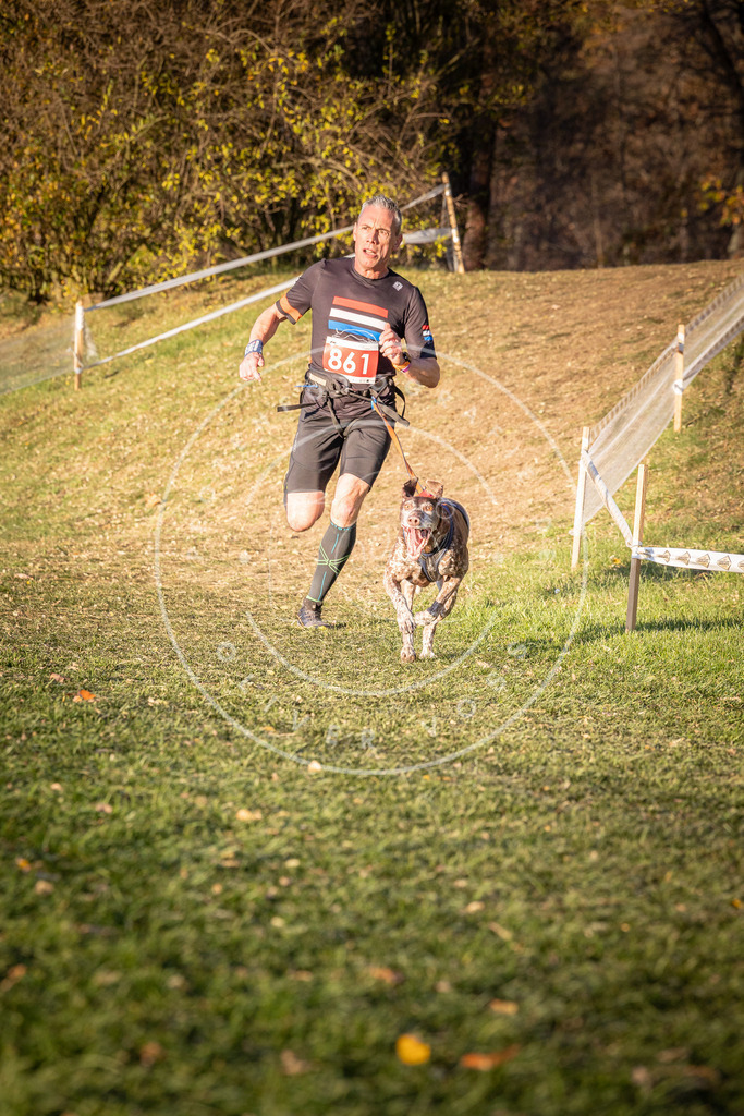 CaniXpix_0L8A0939 | Hundefotografie, Tierfotograf, Pfotenfotografie, Fotoshooting Hund, Hunde Portrait, Hundesport, Hundeportraits, Heideshooting, Hunde, Sportfotograf, Hundefotograf, Turnierhundsport, THS,  - Realisiert mit Pictrs.com