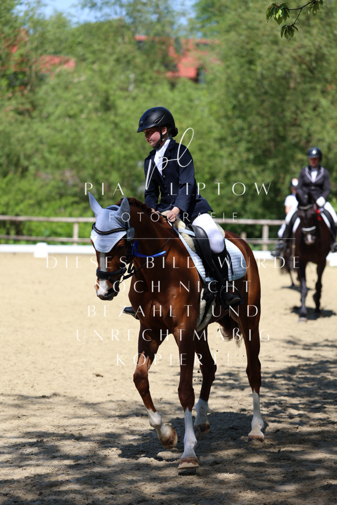 IMGS3548 | pl-fotografie