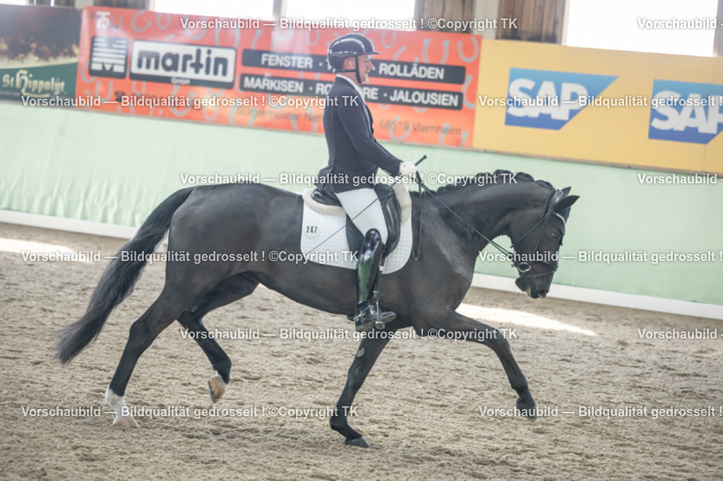 _D5A0838 | Emotionale Pferde- & People-Fotografie rund um Heidelberg, Leimen & Umgebung. Natürliche Fotos von Pferd, Mensch & Familie. Jetzt Termin sichern!