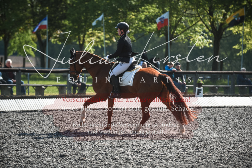 DSC_8742 | Pferde- und Turnierfotografie in Westsachsen. Pferdeportraits, Auftragszeichnungen und intuitive Kunst.