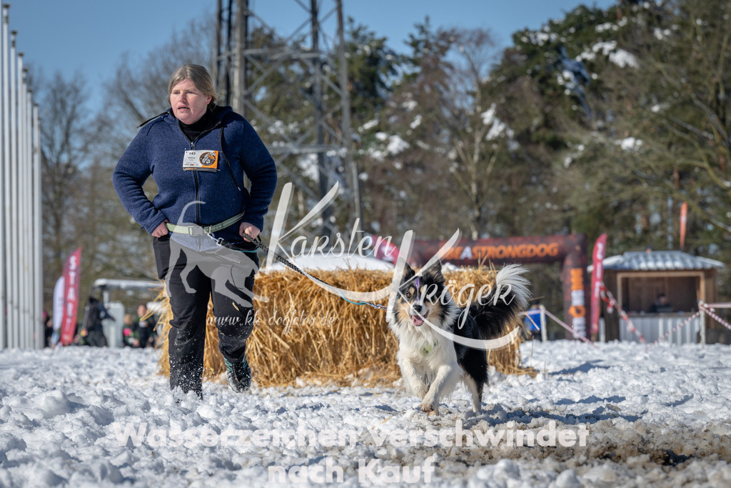 1120_ZZ91631-3 | kk-dogfotos