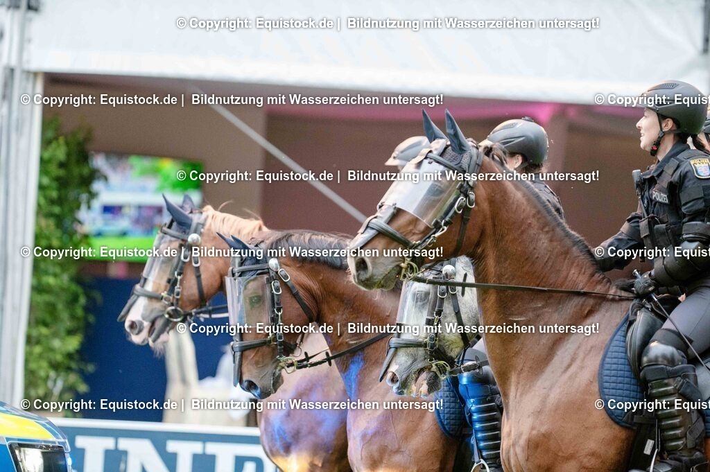 20250606_Lange-Pferdenacht_0834 | Foto: Thomas Hartig