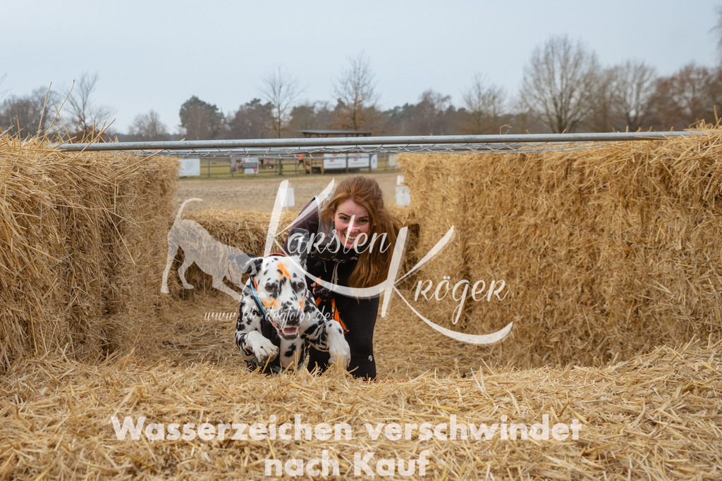 0942_ZZ99584 | kk-dogfotos