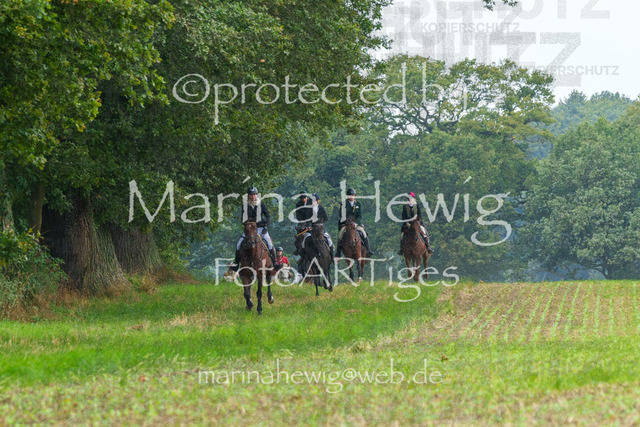 Jagd Perdoel_MarinaHewigMCH03909 | Fotografie, FotoArt, PferdesportArt, Pferdesportfotografie, Landschaftsfotografie, Reisefotografie, Reise, Pferde - Realisiert mit Pictrs.com