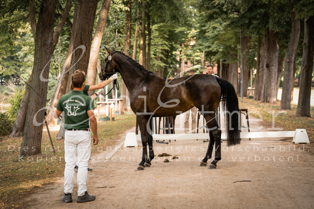 FrPfM00052 | Leoni Ertmer Photography - Realisiert mit Pictrs.com