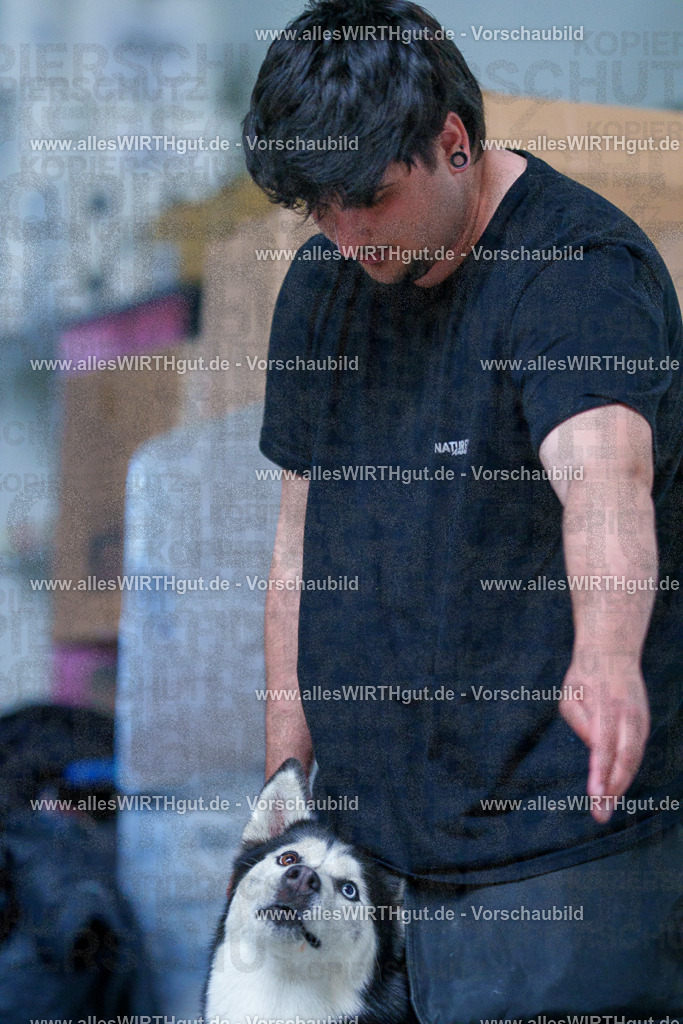@allesWIRTHgut_Tierfotografie - www.allesWIRTHgut.de - 2604251356-7R504375 | Professionelle Tierfotografie in Mönchengladbach von Daniel Wirth (allesWIRTHgut). Liebevolle & natürliche Bilder von Hunden & Katzen für unvergessliche Erinnerungen.