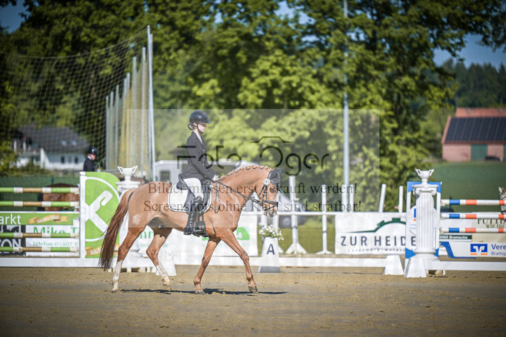 DOS_3342 | Entdecke hochwertige Reitturnierfotos von Foto Oger. Professionell, emotional und authentisch – jetzt Lieblingsmomente im Shop bestellen.Deutschlandweite Turnierfotografie. - Realisiert mit Pictrs.com