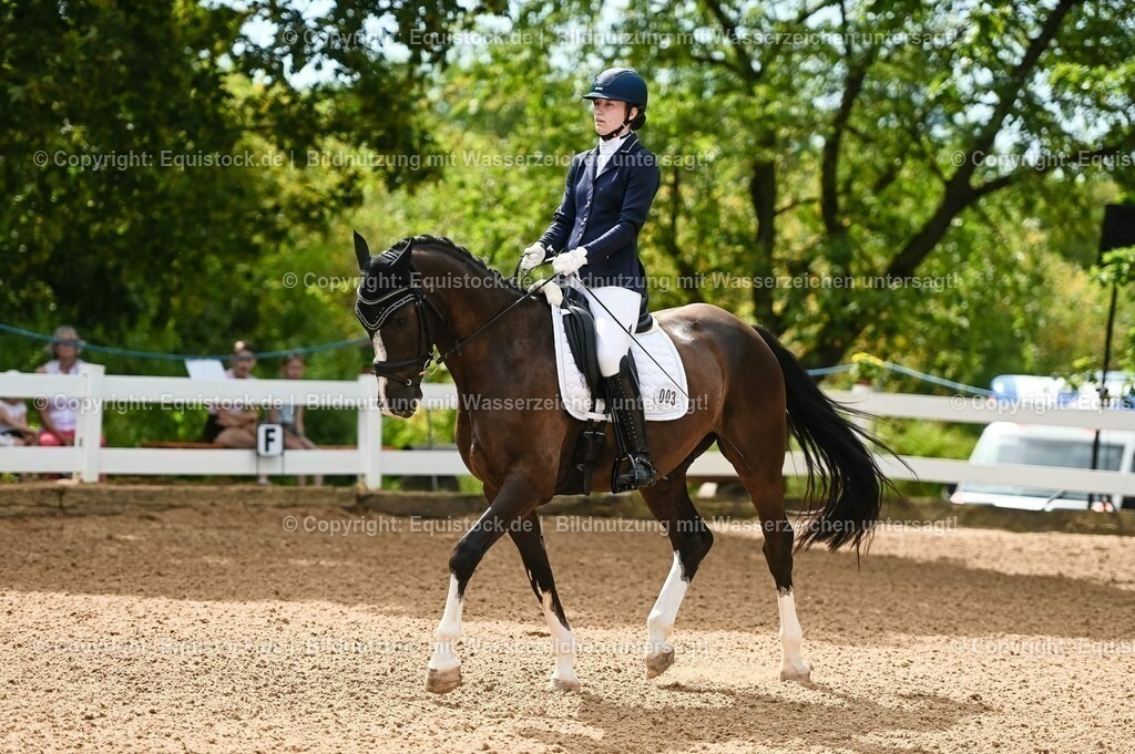20230715_07_Dressurpferdeprfg. Kl.L_0010 | equistock