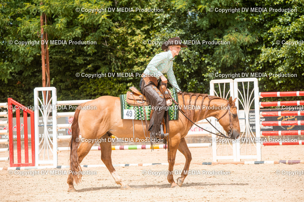 EWP_6253 | dv-media-shop - Realisiert mit Pictrs.com