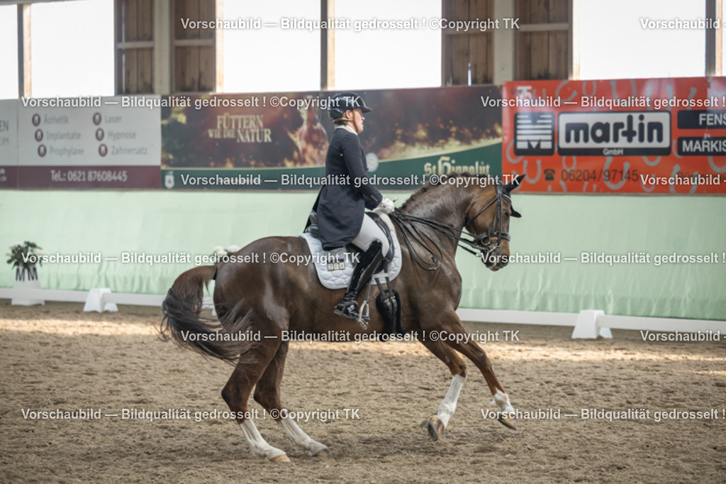 _D5A6644 | Emotionale Pferde- & People-Fotografie rund um Heidelberg, Leimen & Umgebung. Natürliche Fotos von Pferd, Mensch & Familie. Jetzt Termin sichern!