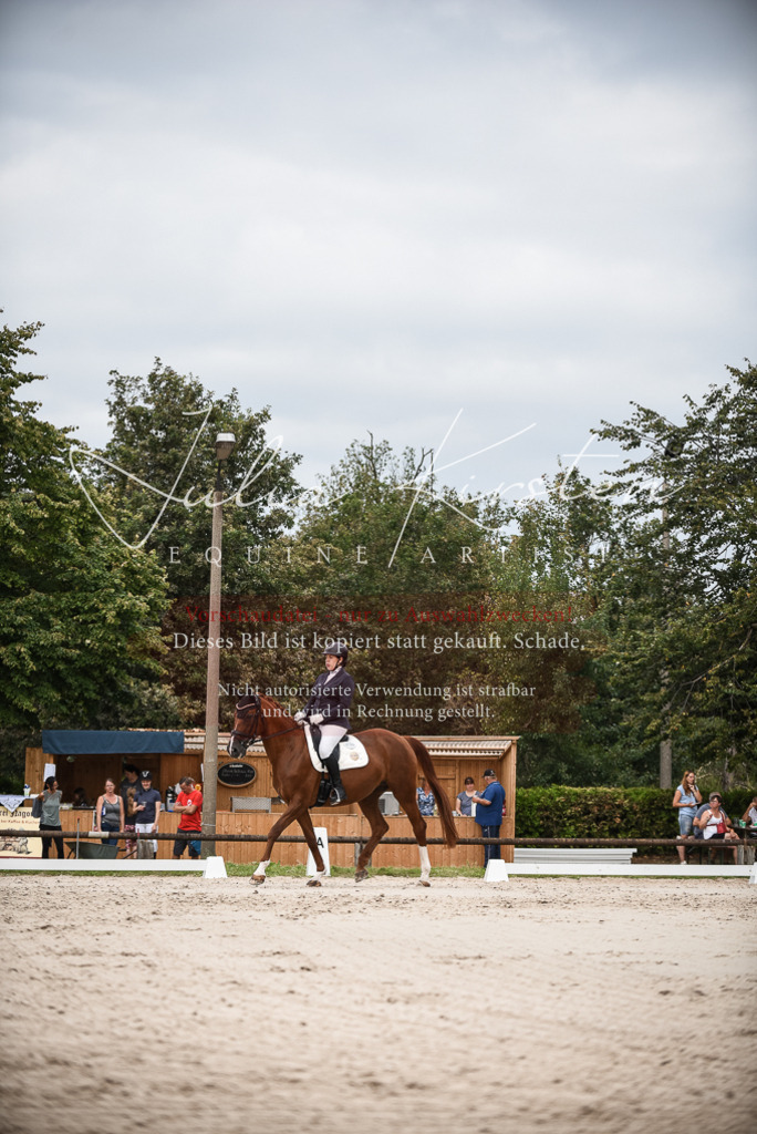 DSC_8377 | Pferde- und Turnierfotografie in Westsachsen. Pferdeportraits, Auftragszeichnungen und intuitive Kunst.