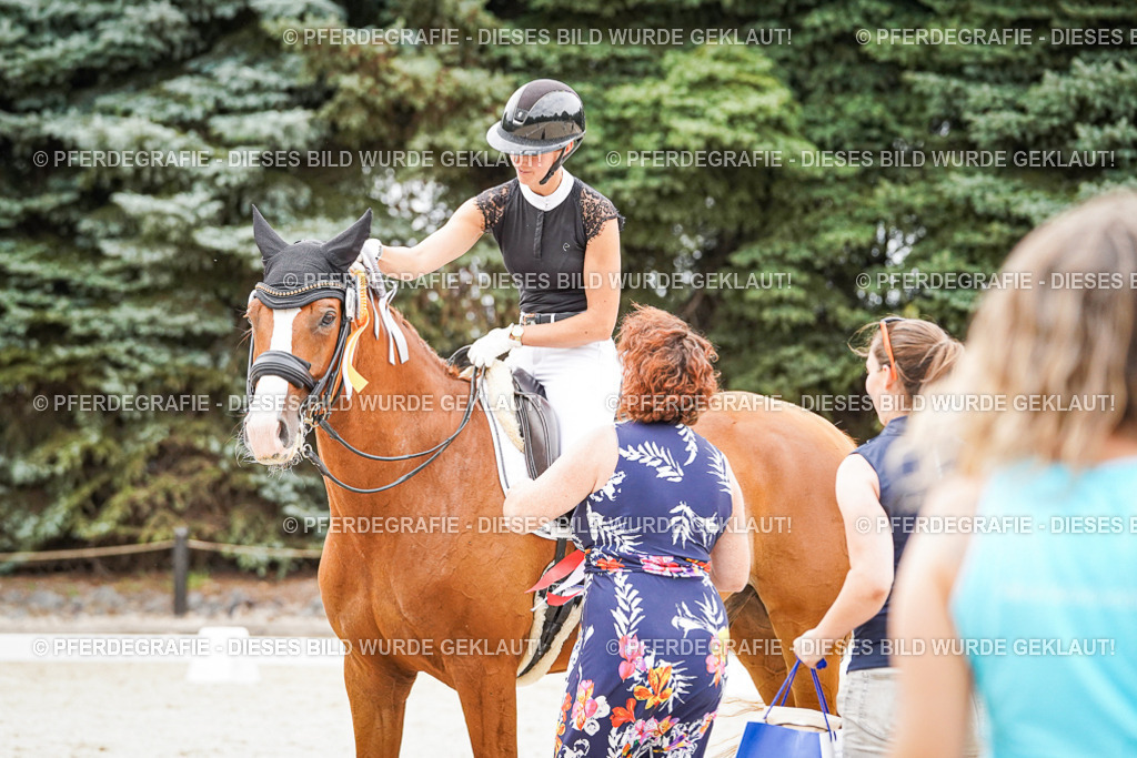 DSC08053 | Pferdegrafie