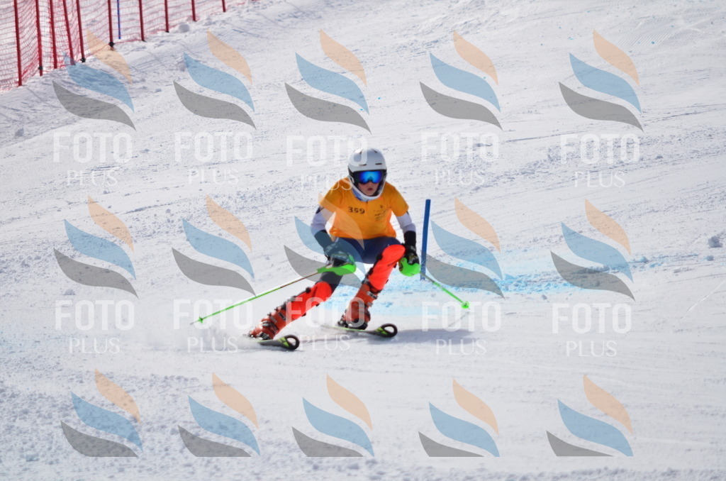 C9834 | holidayphoto