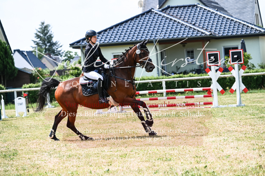 DSC_9442 | Pferde- und Turnierfotografie in Westsachsen. Pferdeportraits, Auftragszeichnungen und intuitive Kunst.