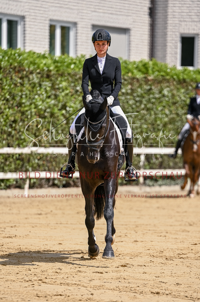 Schugtsche-Aluta25-48.Reitpferfdeprf.-79 | Schugtsche Fotografie - Realisiert mit Pictrs.com