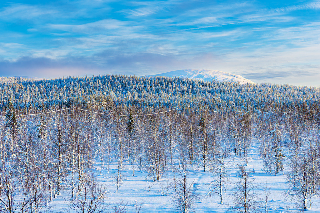 Landschaft im Winter mit Wald in Äkäslompolo, Finnland | Landschaft im Winter mit Wald in Äkäslompolo, Finnland.