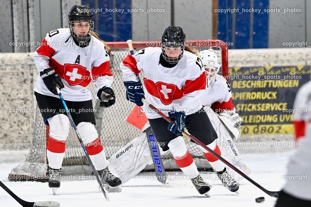 BST_3196 | hockey sports photos, Pressefotos, Sportfotos, hockey247, win 2day icehockeyleague, Handball Austria, Floorball Austria, ÖVV, Kärntner Eishockeyverband, KEHV, KFV, Kärntner Fussballverband, Österreichischer Volleyballverband, Alps Hockey League, ÖFB, 