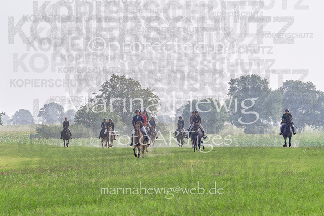 09-23 Jagd Perdöl_MCH9909_Marina Hewig | Fotografie, FotoArt, PferdesportArt, Pferdesportfotografie, Landschaftsfotografie, Reisefotografie, Reise, Pferde - Realisiert mit Pictrs.com