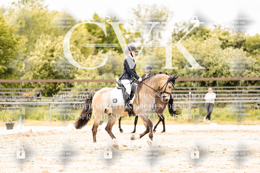 CK902847 | Turnierfotografie Pferdefotografie Trier Rheinland-Pfalz Pferdesport Reitsport Tierfotografie Sportfotografie Pferdevideo Pferdevideografie Equestrianvideography equestrianphotography  - Realisiert mit Pictrs.com