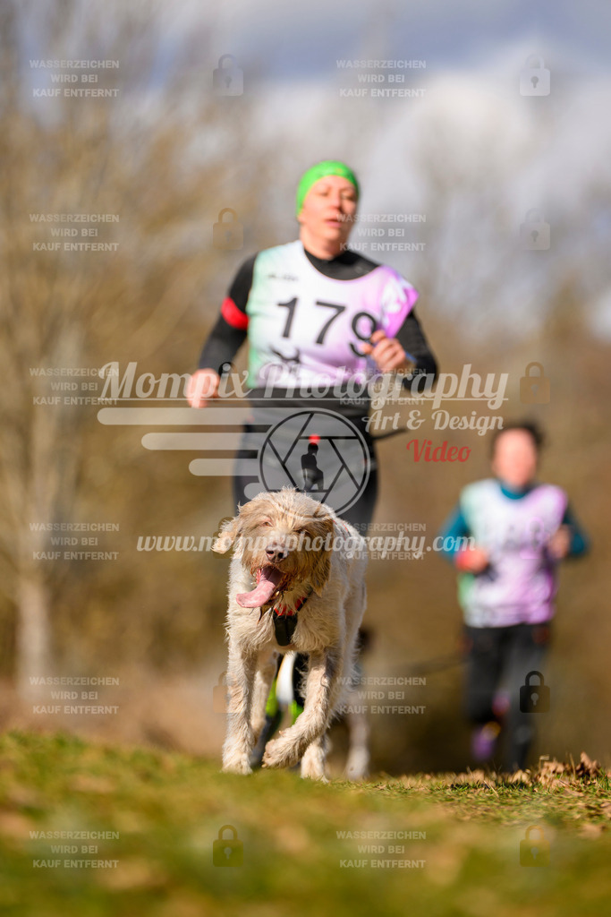 MompixPhotography_10Schwabentrail2026_SO_Canicross-96 | PayLife
