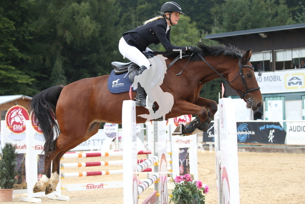 DL2Q3943 | Willkommen bei Brunnmayr - Design & Fotografie – Ihrem Spezialisten für Reitturniere und Pferdeveranstaltungen in Oberösterreich, Salzburg und Bayern! Seit über 17 Jahren sind wir leidenschaftlich dabei.