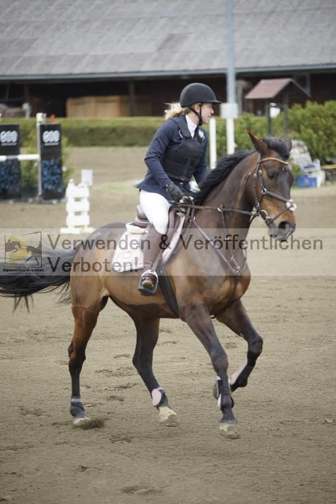 _DSC7077 | equestrian-live-com