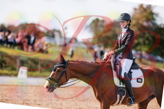 2026_10_03_Siefer-Hof_133324_Z81_92251366 | Professionelle Reitsport-, Turnier- und Eventfotografie von Robert Broda. Galerien mit ausgewählten und bearbeiteten Bildern direkt online ansehen und bestellen.