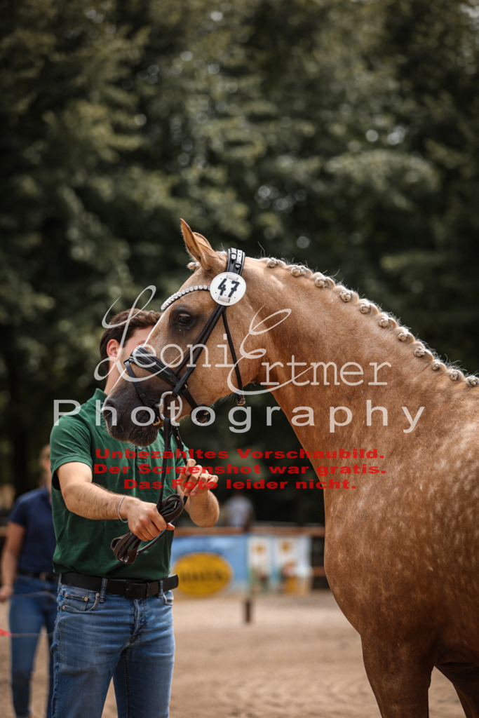 8.So00070 | Leoni Ertmer Photography - Realisiert mit Pictrs.com
