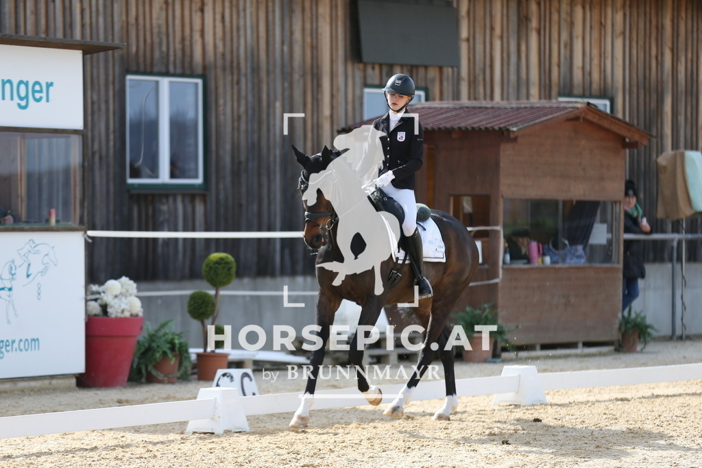 AS8V1728 | Willkommen bei Brunnmayr - Design & Fotografie – Ihrem Spezialisten für Reitturniere und Pferdeveranstaltungen in Oberösterreich, Salzburg und Bayern! Seit über 17 Jahren sind wir leidenschaftlich dabei.
