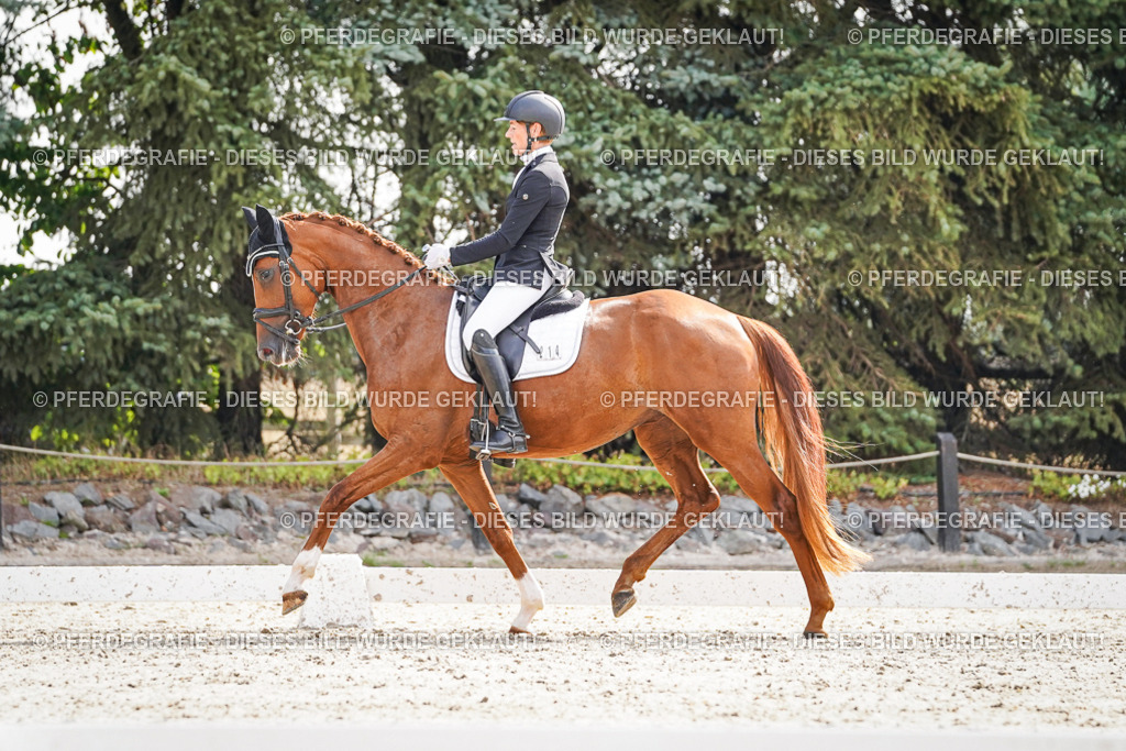 DSC07077 | Pferdegrafie