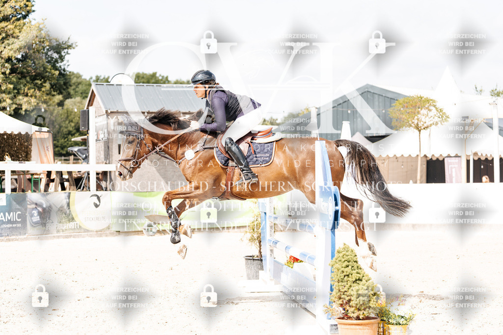 CK908978 | Turnierfotografie Pferdefotografie Trier Rheinland-Pfalz Pferdesport Reitsport Tierfotografie Sportfotografie Pferdevideo Pferdevideografie Equestrianvideography equestrianphotography  - Realisiert mit Pictrs.com