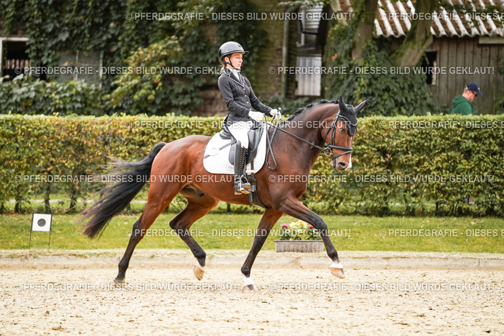 DSC02339 | Pferdegrafie