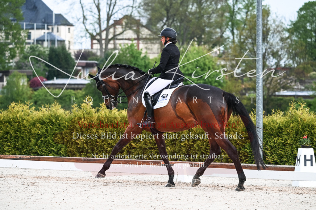 DSC_4196 | Pferde- und Turnierfotografie in Westsachsen. Pferdeportraits, Auftragszeichnungen und intuitive Kunst.