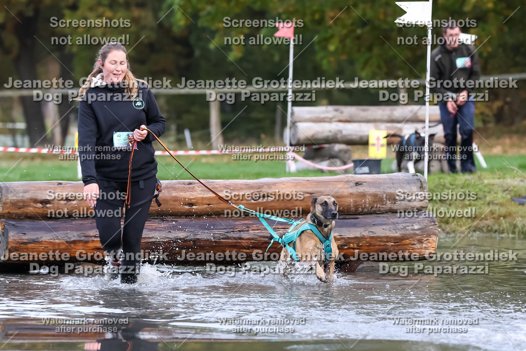 Dog Paparazzi - Strongdog 10-25-6575 | Dog Paparazzi Jeanette Grottendiek Fotografie & Videografie - Realisiert mit Pictrs.com