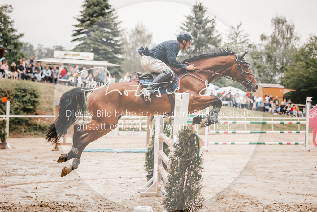 3I6A2057 | Stimmungsvolle Portraits und Reitsportfotografie im Ruhrgebiet und im Münsterland.

Pferdefotografie, Hundefotografie, Tierfotografie, Reportagen, Portraits von Tier und Mensch, Turnierfotografie in Bochum, Recklinghausen, Marl, Haltern am See, Dülmen.. - Realisiert mit Pictrs.com