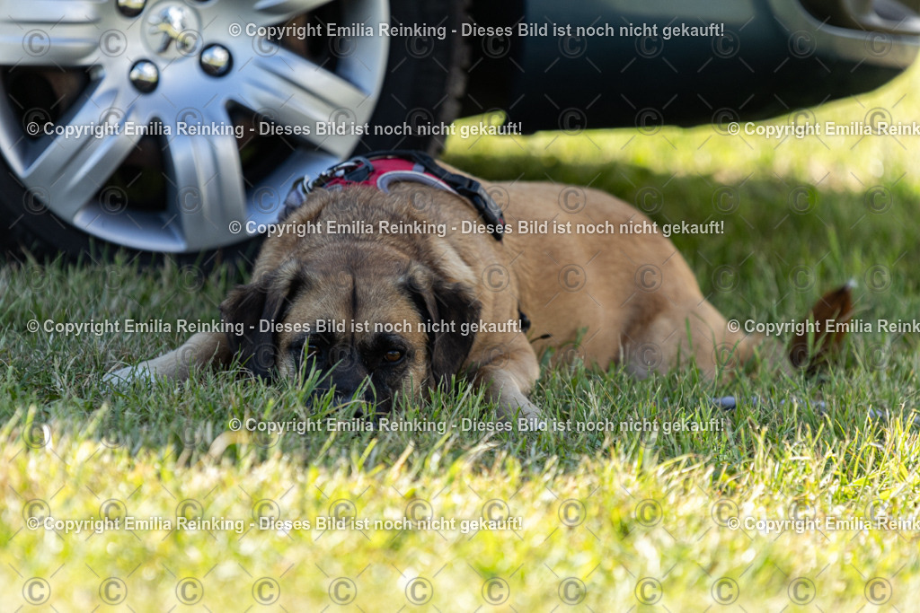 CL5A6926 | Emilia Reinking Fotografie - Realisiert mit Pictrs.com