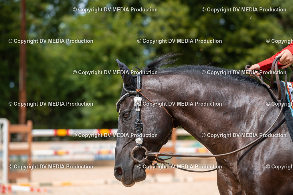 EWP_6657 | dv-media-shop - Realisiert mit Pictrs.com