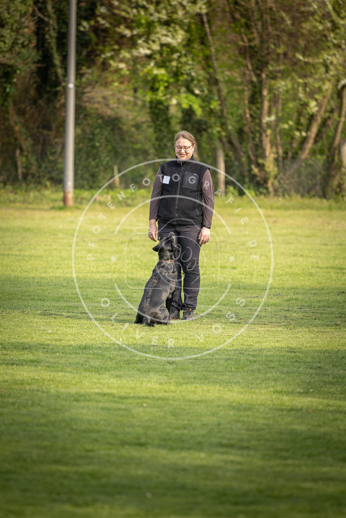 Pfotenfotografie_DV3A4761 | Hundefotografie, Tierfotograf, Pfotenfotografie, Fotoshooting Hund, Hunde Portrait, Hundesport, Hundeportraits, Heideshooting, Hunde, Sportfotograf, Hundefotograf, Turnierhundsport, THS,  - Realisiert mit Pictrs.com