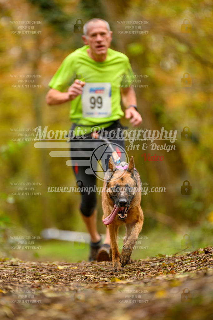 MompixPhotography_Bischwiller24_SA_Canicross-178 | PayLife