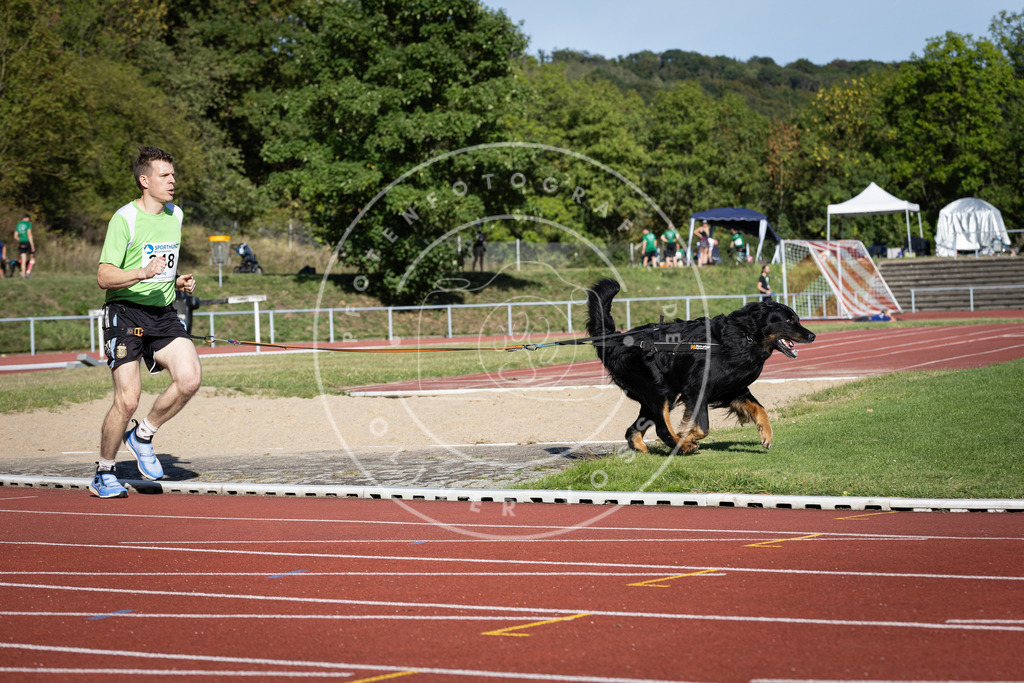 Pfotenfotografie_DV3A8910 | Hundefotografie, Tierfotograf, Pfotenfotografie, Fotoshooting Hund, Hunde Portrait, Hundesport, Hundeportraits, Heideshooting, Hunde, Sportfotograf, Hundefotograf, Turnierhundsport, THS,  - Realisiert mit Pictrs.com