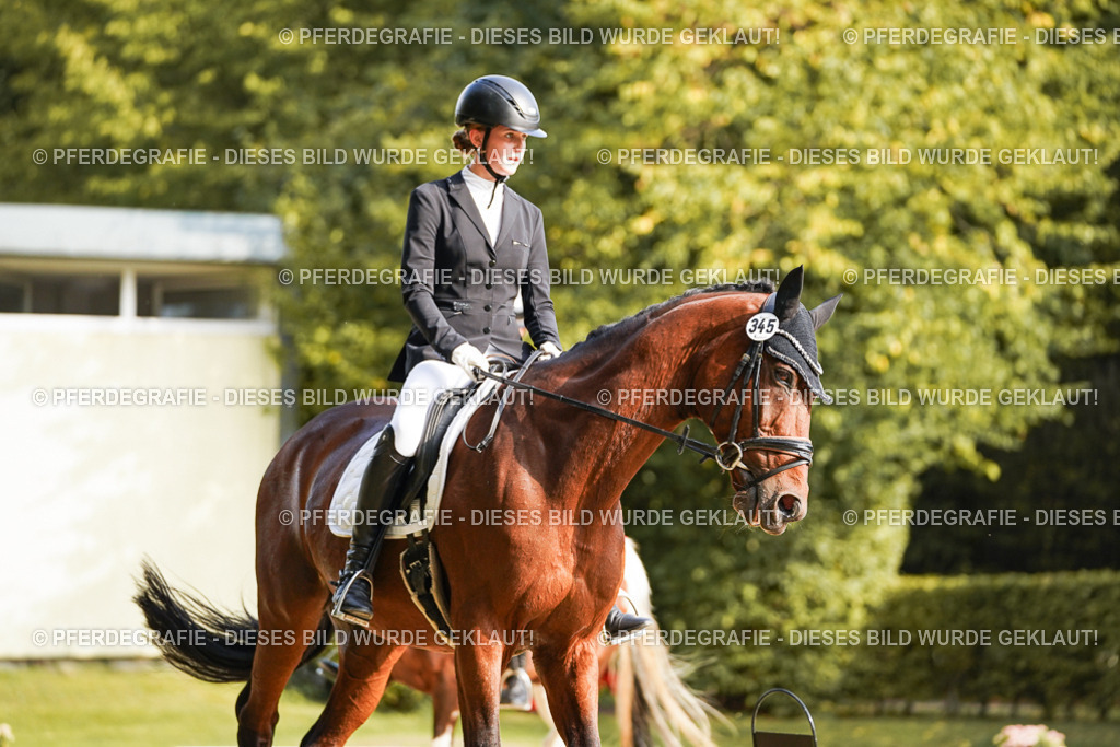 DSC05621 | Pferdegrafie