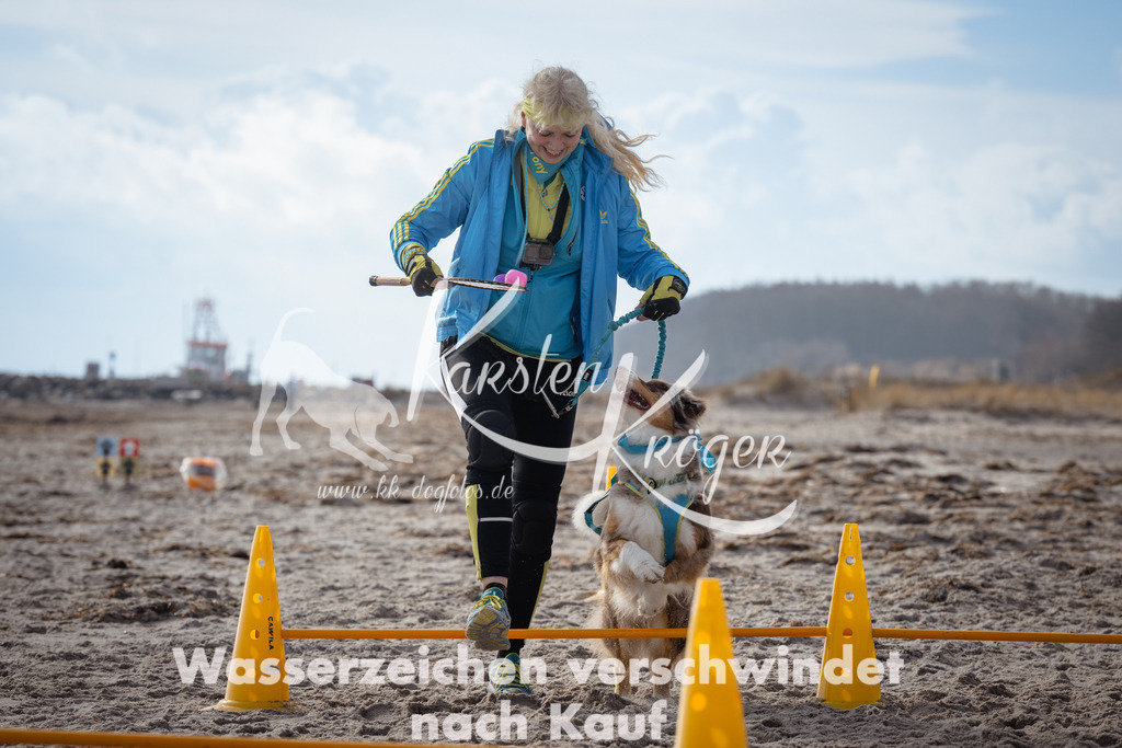 1240_ZZ98119 | kk-dogfotos