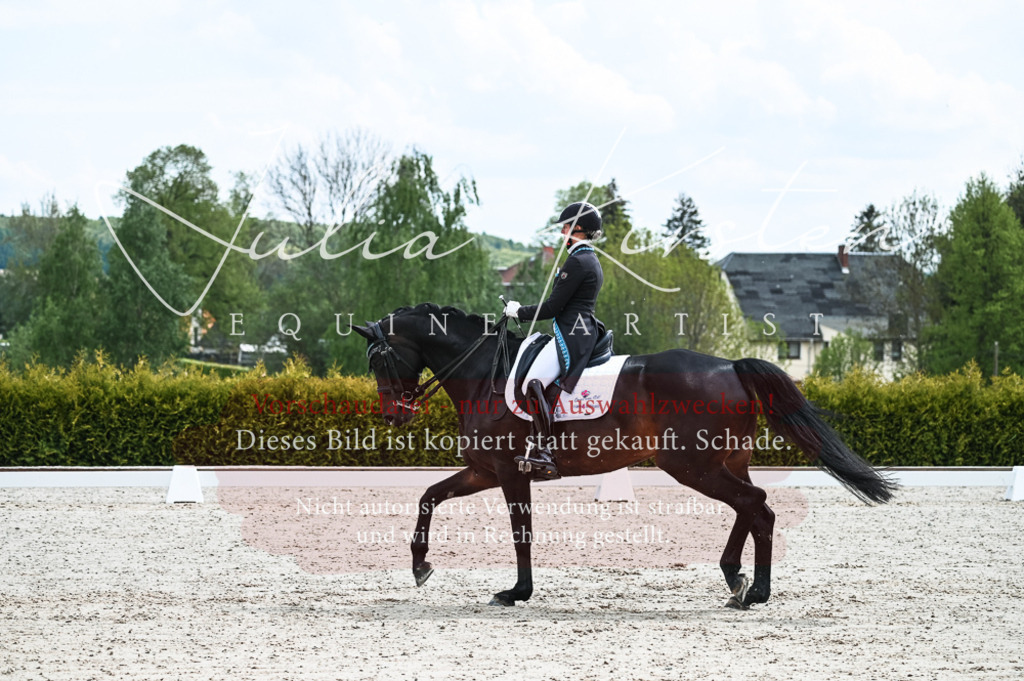20230514_JK-Röhrsdorf-20-044 | Pferde- und Turnierfotografie in Westsachsen. Pferdeportraits, Auftragszeichnungen und intuitive Kunst.