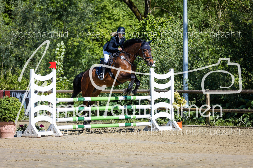 Donop24-A2Spr-016 | MomenTaufnahmen Pferdesportfotos