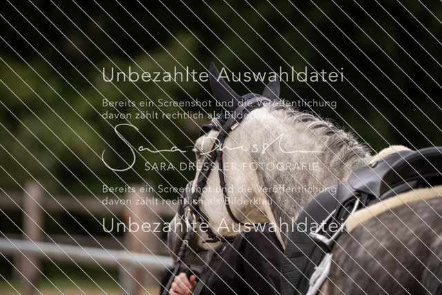 SD_OED_07853 | saradresslerfotografie - Realisiert mit Pictrs.com