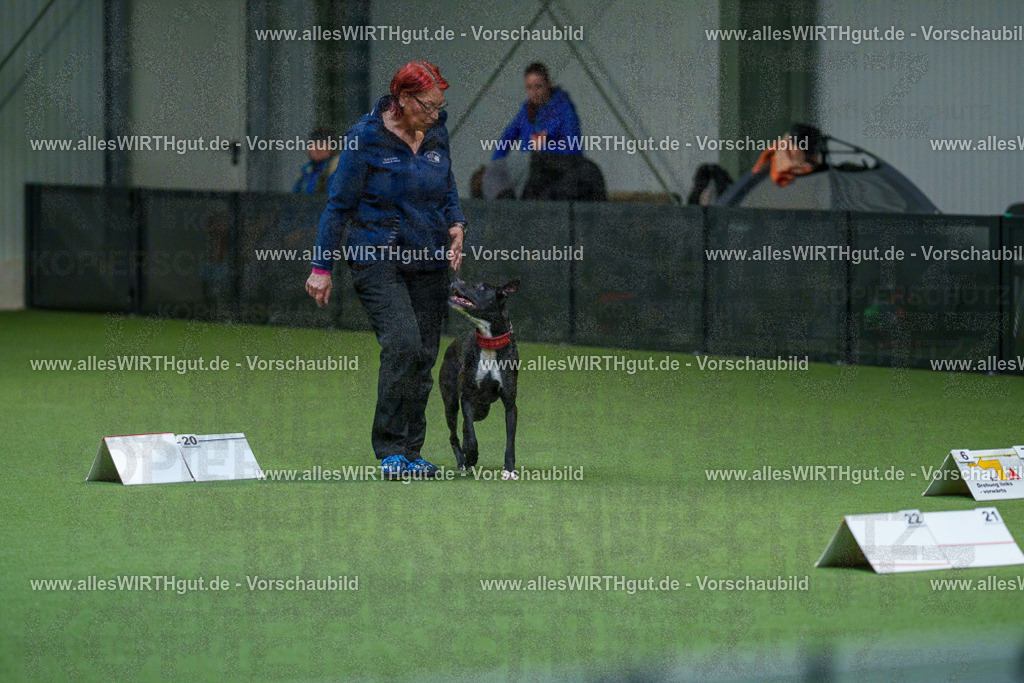 7R503268 | Professionelle Tierfotografie in Mönchengladbach von Daniel Wirth (allesWIRTHgut). Liebevolle & natürliche Bilder von Hunden & Katzen für unvergessliche Erinnerungen.