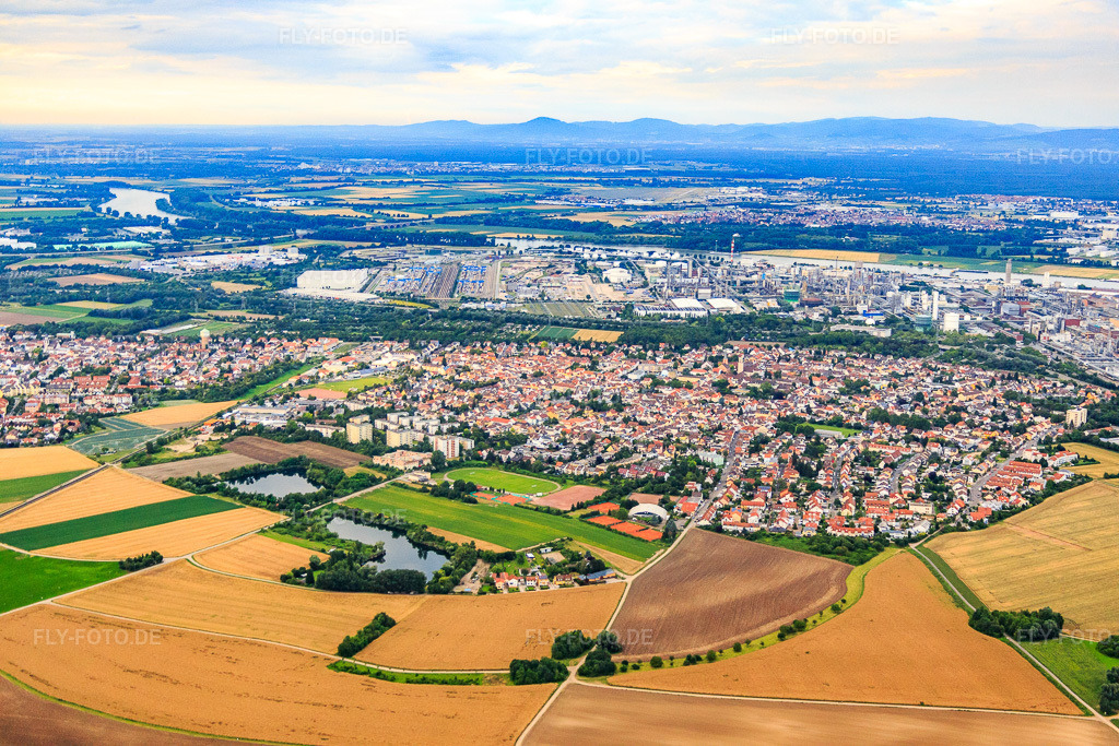 Luftbild: Stadtansicht aus Westen vor der BASF im Ortsteil Oppau in Ludwigshafen im Bundesland Rheinland-Pfalz in Deutschland. Foto: IMG_091047.jpg vom 04.07.2016 durch Werner Riehm/FLY-FOTO.de